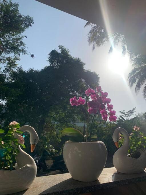 Almond Villa Find Your Paradise Alibag Exterior foto